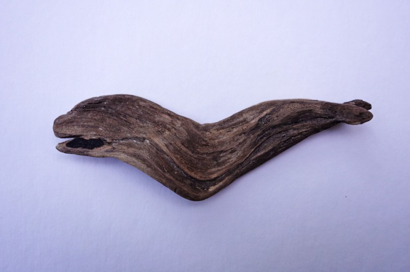 Orphant of wealth II