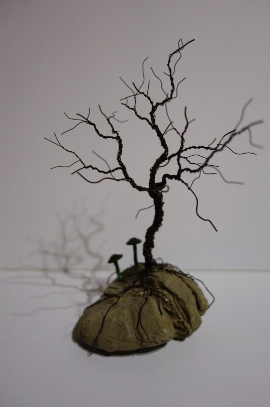 Nachtschattengewächse / Solanaceous plants