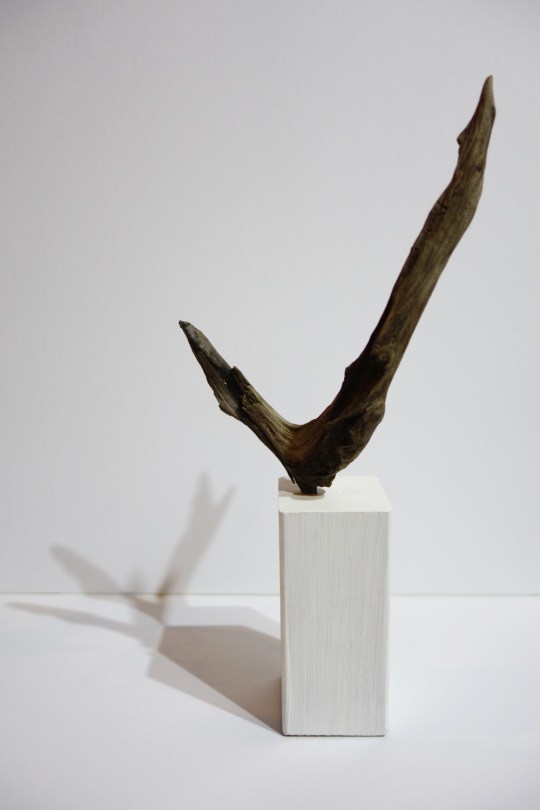 Lonesome creature II